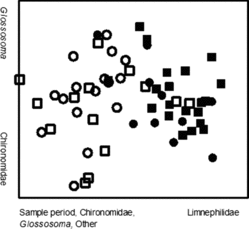 Figure 3. Non-metric multidimensional scaling ordination of diet composition for small (≤150 mm) and large (151–276 mm) brown trout in Badger Creek. Closed squares represent large fish in early winter; closed circles represent small fish in early winter. Open squares represent large fish in late winter; open circles represent small fish in late winter.