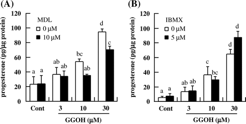 Fig. 5. GGOH induces progesterone production via regulation of AC but not PDE activity in I-10 cells. Cells were treated with GGOH and MDL12,330A (A) or IBMX (B) for 3 h, and progesterone levels in the culture medium were measured by EIA.