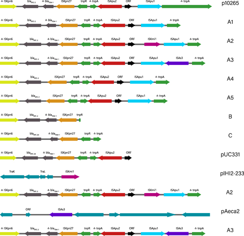 Figure 4 blaKPC regions from IncP-6 plasmids and comparison with the related plasmids.
