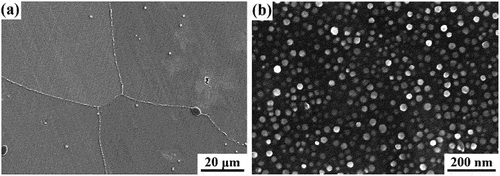 Figure 2. SEM images showing the morphology of (a) carbides and (b) γ′ precipitates in the matrix.