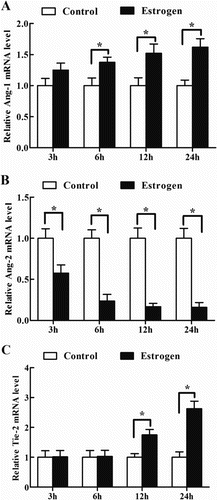 Figure 3. Effects of estrogen on the expression of Ang-1, Ang-2 and Tie-2 in antler chondrocytes. After antler chondrocytes were treated with estrogen for 3, 6, 12 and 24 h, the expression of Ang-1 (A), Ang-2 (B) and Tie-2 (C) was determined by real-time PCR.