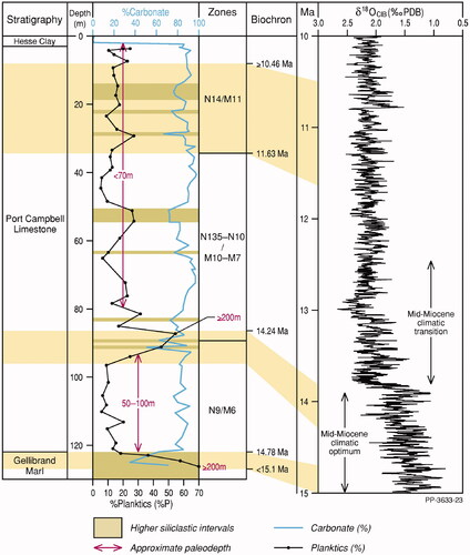 Figure 21. Percentage planktics in Brumbys 1 plotted with the %carbonate. Olive toned horizons are marls (wackestones) or marly limestones (wackestones/packstones) that alternate with limestones white) packstones/grainstones. Estimates of paleodepths are in red. Biochron., biochronology. The oxygen isotope curve is the ‘Megasplice’ of De Vleeschouwer et al. (Citation2017).