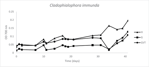 Figure 1. Graph of toluene microtiter plate-screening of Cladophialophora immunda (strain 17, CBS 110551). Optical density (700 nm) is plotted against time (days). The graph is derived from the average data points of duplicates. Three growth curves are represented: medium plus hydrocarbon (H), medium plus glucose (G), medium plus glucose, vitamins and trace elements (GVT).