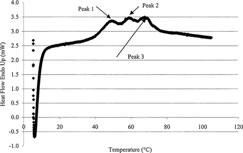 Figure 2. DSC thermogram for protein denaturation. Peaks 1, 2, and 3 represent the three protein denaturation temperatures discussed in text.