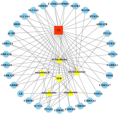 Figure 4 Network of SZR, compounds, target genes, and Tourette syndrome (TS). Red rectangle, TS; yellow diamond, SZR; yellow triangle, compounds; blue octagon, target genes.