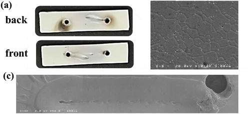 Figure 8. A sample with partial melting during flash sintering, (a) Front and back surface images of the flash sintered sample under the condition of 1000 V/cm, One can see band-like melt trace between the two electrode holes. (b) A cross-sectional microstructure under the melt trace (c) low magnification(x50) image of the melt trace. One can see splash
