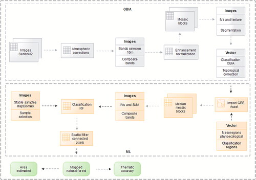 Figure 2. Schematic overview of natural forest mapping methodological procedures.