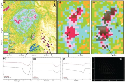 Figure 5. (a) Prospective mineral map showing the potential hydrothermal alteration zones derived from ASTER data. The dashed black polygon enlarged in Figures 5(b and c); (b) Prospective area around the Abu–Gaharish mine overlain by yellow points representing the presence of the kaolinite–smectite mineral group; (c) Subset of the potential hydrothermal alteration map showing red pixels that indicate a high grade hydrothermal alteration, which is consistent with the green points derived from the scatter plot in panel g, indicating Al-OH minerals; (d, e) Obtained pixel spectra for blue and magenta points, and reference spectral curves from the USGS mineral spectral library that match brucite and talc, respectively; (f) Obtained pixel spectrum from the yellow points, and the corresponding reference spectral curve from the USGS mineral spectral library that matches kaolinite–smectite; (g) Binary scatter plot showing band ratios (5 + 7)/6 vs. 5/7 [Citation59].