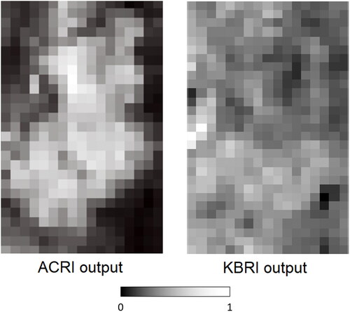 Figure 9. The index result generated using our approach for Soledade outcrop (source domain). Pixels of the index image varies from zero (no carbonates) to one (totally occupied by carbonates).