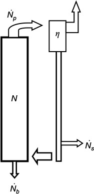 Figure 7 Particle circulation and removal in a CFBC.