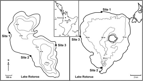 Figure 1. Site locations where bird faecal samples were collected from Lake Rotoroa and Lake Rotorua and the respective positions of both lakes in the North Island.