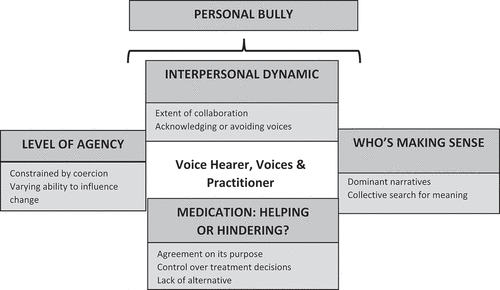 Figure 1. Tripartite relationship theory of voice hearing.