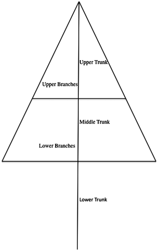 Figure 1. Diagram showing how tree was divided into five foraging locations: lower trunk, mid-trunk, lower branches, upper trunk, and upper branches.