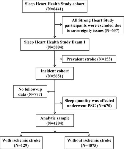 Figure 1 Inclusion and exclusion criteria for the study population. This figure depicts the inclusion of patients into the current investigation as a flowchart. The arrows that branch off represent patients that did not meet the criteria and were excluded.