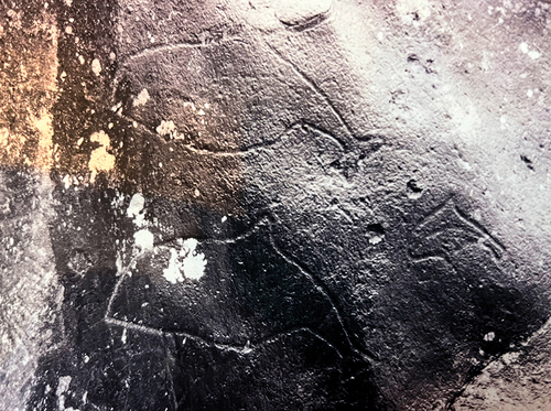 Figure 6. Swimming porpoises carved during the late Mesolithic at Averøy, Møre. (Photo: A.J.Nyland).