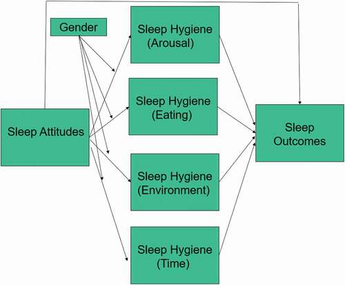 Figure 1. Proposed model of moderated mediation (Hypothesis 3)