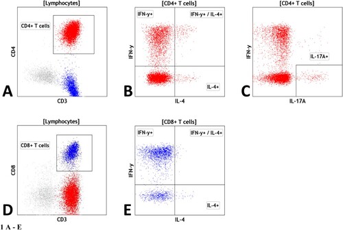 Figure 1. Legend: Gating strategy for T cell analysis: (A) helper CD4+ T cells as CD3+/CD4+ T cells; (B) IFNγ+, IL-4 + and IFNγ+/IL-4+ CD4+ T cells within CD4+ T cells; (C) IL-17a + CD4+ T cells within CD4+ T cells; (D) cytotoxic CD8+ T cells as CD3+/CD8+ T cells; (E) IFNγ+, IL-4 + and IFNγ+/IL-4+ CD8+ T cells within CD8+ T cells