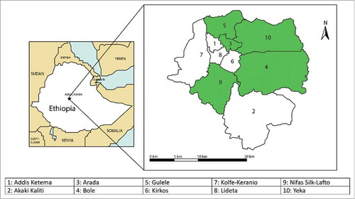 Figure 1. Map of Addis Ababa with administrative sub-city designations. Highlighted sub-cities (Arada, Gulele, Yeka, Bole, and Nifas Silk) were selected randomly as clusters for analysis.