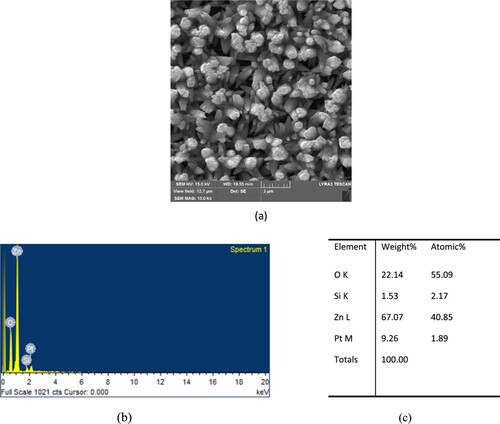 Figure 2. (a) SEM image of the grown ZnO nanorods on glass substrate when using Artemisia plant extract. (b) EDX composition spectra and (c) different elements composition ratio.
