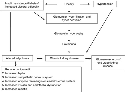 Figure 1 Pathophysiology of obesity-related glomerulopathy.