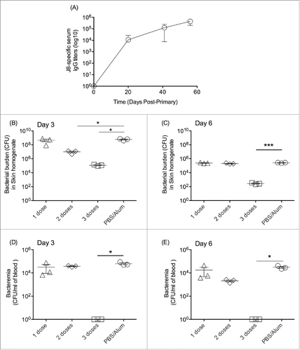 Figure 2. Immunogenicity and protective efficacy of J8-DT/alum in BALB/c mice. (A) Cohorts of BALB/c mice (4–6 weeks old) were subcutaneously immunised with 50 ug of J8-DT vaccine formulation on days 0, 21 and 28. The J8-specific IgG titers on days 20, 27 and 35 are shown. Efficacy of the vaccine formulation following bacterial skin challenge with 88/30 GAS strain for cohorts of mice that received either 1, 2 or 3 doses of vaccine and the control cohort administered PBS plus adjuvant. Skin (B and C) and blood (D and E) bioburden was determined for days 3 and 6 post-exposure respectively. Mean (+/− SEM) shown. A P value of <0.05 was considered significant. Statistical significance was calculated using GraphPad Prism version 6.