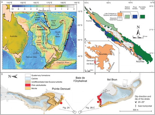 Figure 1. Present-day geological setting for New Caledonia and the described sections. A, Bathymetric and tectonic map of the southwest Pacific area, including sites of International Ocean Discovery Program (IODP) Expedition 371 (Sutherland et al., Citation2016) (Zealandia delimited by dashed line). B, Simplified geological and tectonic map of Grande Terre, New Caledonia (modified from Maurizot and Vendé-Leclerc, Citation2009). C, The Nouméa peninsula indicating the study area. D, Geological map of the Denouel and Ilôt Brun sections. The red dots indicate the sampling localities.