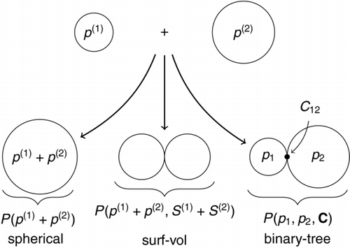 Figure 1 FIG. 1 An illustration of different particle models’ description of coagulation events.