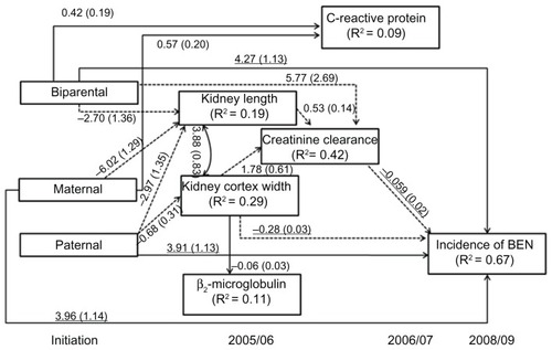Figure 3 Direct and indirect path linking a specific status of parental Balkan endemic nephropathy (BEN) and the incidence of BEN.