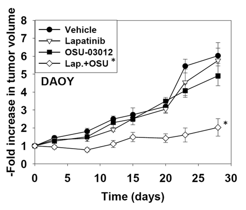Figure 8. OSU-03012 and lapatinib interact in vivo to suppress tumor growth. DAOY cells (1 × 107) were injected into the rear flanks of athymic mice. Tumors formed over the following month (~200 mm3, per treatment group, day 0). Animals were doses with drugs: vehicle (DMSO and Cremophore); Lapatinib (100 mg/kg, BID); OSU-03012 (25 mg/kg QD) or both drugs combined. Tumor volumes were assessed by caliper on the indicated days (n = 2 experiments with 3 animals per group in each experiment: total 6 animals per group ± SEM). * p < 0.05 less than other treatment values.