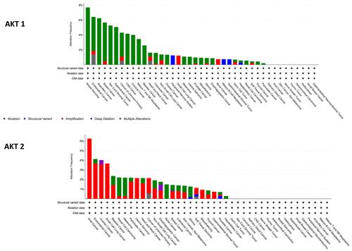 Figure 2 Frequency of AKT1 and AKT2 alterations from analysis of MSK-IMPACT Clinical Sequencing Cohort (MSKCC, Nat Med 2017), cBioPortal genomic database.Citation33,Citation34