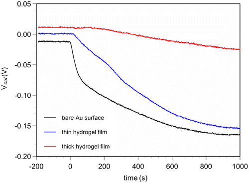 Figure 7. Real-time monitoring of surface potential with hydrogel FETs with different hydrogel thicknesses. (Black: unmodified Au gate, blue: hydrogel-modified Au gate copolymerized by 20 μl monomer solution, red: hydrogel-modified Au gate copolymerized by 200 μl monomer solution.)