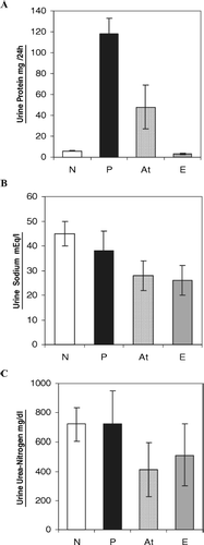 Figure 2  Effect of artemether on urine parameters in groups: N, normal (8); P, patient (11); At, treated rats with artemether (11); and E, experimental healthy control receiving artemether. Each bar represents mean ± SD. p < .05 vs. nontreated. (A) Comparison of antiproteinuric effect of artemether between groups N, P, At, and E at the end of experiment (day 49); At vs. P was significant. (B) Concentration of urine sodium in groups N, P, At, and E; At vs. P was significant. (C) Amounts of urine urea nitrogen in groups N, P, At, and E; At vs. P was significant.