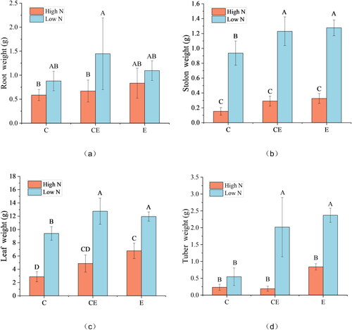 Figure 3. Effect of nitrogen and water level treatments on the growth of V. asiatica.