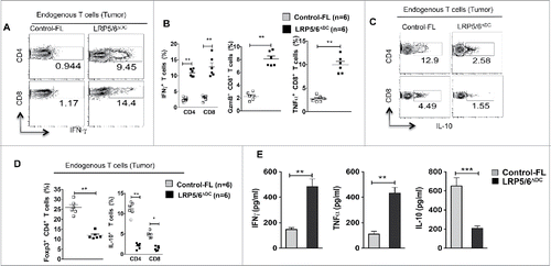 Figure 2. Wnt ligands in the TME activate the β-catenin/TCF pathway in DCs and DC-specific deletion of LRP5/6 enhances antitumor immunity in mice. (A–D) Representative dot plots and percentages of IFNγ+CD4+, IFNγ+CD8+, Granzyme B+CD8+, TNF-α+CD8+, IL-10+CD4+, Foxp3+CD4+ and IL-10+ CD8+ T cells isolated from MO4 tumors in Control-FL and LRP5/6ΔDC mice on day 14 post-inoculation (n = 6). (E) Cytokine concentrations in supernatants obtained after culture of TDLN lymphocytes with WT DCs loaded with B16 lysate for 48 h (n = 5). Data represents one of two experiments with similar results and shows mean values ±SEM. *p < 0.05; **p < 0.01; ***p < 0.001.