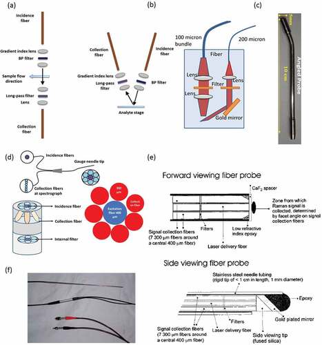 Figure 2. (a) The off configuration and dual filter probe, adapted and redrawn from [Citation59], (b) compact small fiber optic probe to measure near infrared Raman spectra of cervical tissues in vivo adapted from [Citation57], (c) Angled probe for biomedical application, (d) The configuration of fibers in the Raman probe and arrangement of probe tip adapted and redrawn from [Citation56,Citation58], and (e) The fiber-optic probe (made by Visionex) to excite the tissue of walls of blood vessel, with permission of [Citation64], and (f) Optical fiber mini probe for Raman spectroscopy, with permission of [Citation63].