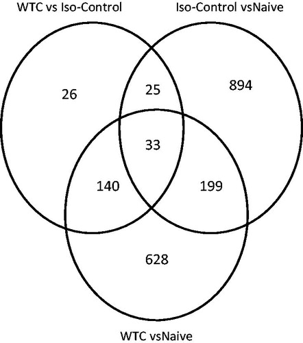 Figure 1. Venn diagram illustrating number of genes significantly changed by isoflurane (ISO) alone (vs naïve) and by WTC dust exposure (under ISO anesthesia) in rat lungs. ISO by itself changed 1151 genes; when dust was combined with ISO, 1000 genes were changed – of which 232 were in common with ISO, but 166 were due to WTC dust exposure.