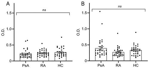 Figure 3. Sera levels of Abs against native and citrullinated PsoP27. Sera were analyzed for levels of Abs against native (A) and citrullinated (B) PsoP27. Samples were derived from PsA (n = 32) and RA (n = 32) patients and healthy controls (n = 31). Levels of Abs against PsoP27 are shown as the value of optical density (O.D.). The p values were calculated using the one-way ANOVA Kruskal–Wallis test and Dunn’s multiple comparison test. ns: non-significant.