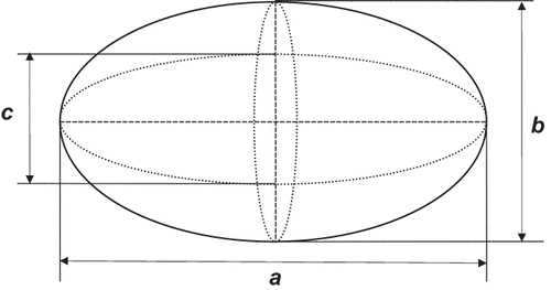 Figure 3 The dimensions of an ellipsoid.
