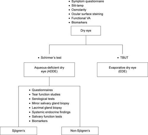 Figure 1 Overview of the differential diagnosis of dry eye secondary to Sjögren’s syndrome.