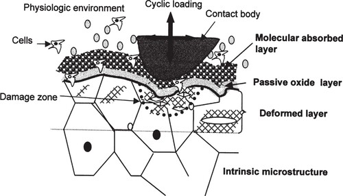 Figure 2. Schematic illustration showing the complex interactions between the material's surface and the physiological environment. (Reproduced from [Citation36].)