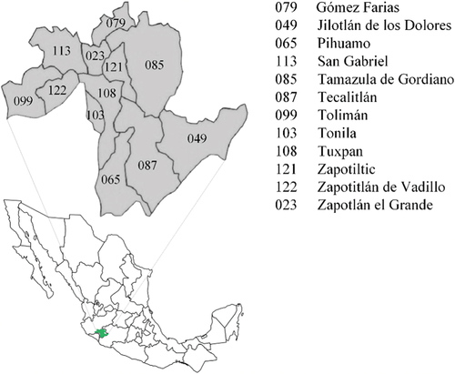 Figure 1. Geographic location of the municipalities in the southern region of Jalisco.