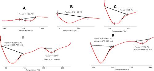 Figure 5 DSC thermograms of (A) CTX, (B) CH, (C) SH, (D) physical mixture of CH: SH: CTX (2:1:2) and (E) F2-NPs.
