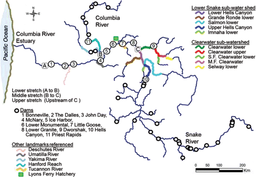 Figure 1. The river system including the lower, middle, and upper stretches where the studies reviewed were conducted and the new data analyzed were collected. The spawning areas located within the Lower Snake and Clearwater sub-water sheds covered in Table 2 are also shown.