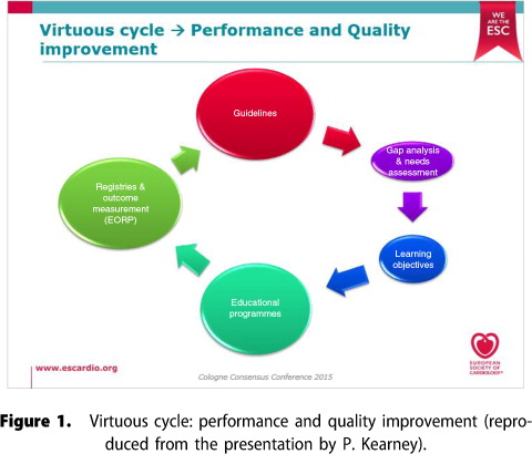 Figure 1 Virtuous cycle: performance and quality improvement (reproduced from the presentation by P. Kearney).