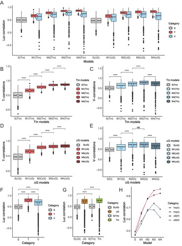 Figure 4. A machine learning procedure confirmed the authentic contribution of three miRNA duplex regions. (A) A machine learning procedure was adopted to randomly assign k factors of Tm or ΔG value for each region in the linear regression models to optimize T-correlations (T, red). The optimal k sets generated in the randomly sampled training data were subsequently validated in the validation data (n =7), and shown as V-correlations (V, blue). S indicates the luc correlation with Tm or ΔG value of seed-target duplex only, shown in grey. M1, M2, M3, and M4 indicate the luc correlations with additional effects of Tm or ΔG value of each of four regions in the miRNA duplex to the seed-target value as shown in the text. The training-validation cycle was repeated 1000 times. T-correlations (B) and V-correlations (C) generated using Tm models in training data. T-correlations (D) and V-correlations (E) generated using ΔG models in training data. (F) All the values of S-, T-, and V-correlations, regardless of model types, were integrated and compared. (G) All the values in the models M1-M4 of either Tm (green) or ΔG (yellow), regardless of T or V, were integrated and compared. (H) Mean values of correlations of each model generated in different data types, Tm(T), Tm(V), ΔG(T), and ΔG(V), respectively. The rhombus in the boxes represent mean values (ns: P > 0.05; *: 0.05 ≥ P > 0.01; **: 0.01 ≥ P > 0.001; ***: 0.001 ≥ P > 0.0001; ****: 0.0001 ≥ P).