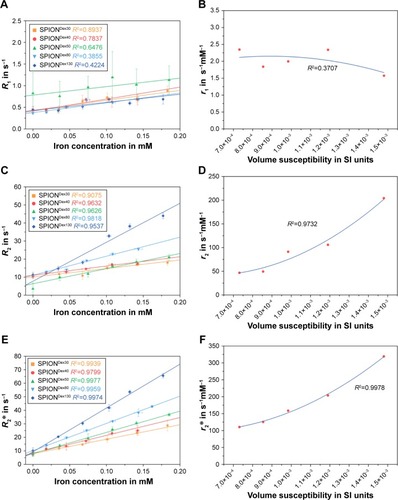 Figure 3 7 T MRI-derived relaxation rates as a function of particle size and iron concentration.Notes: Corresponding correlation between calculated relaxivity and particles’ volume susceptibility for T1 (A and B), T2 (C and D), and T2* (E and F) relaxation time map sequences is shown. Mean ± SD values of three independent experiments performed in triplicate are shown. T1: longitudinal relaxation time; T2: tranversal relaxation time; T2*: transversal relaxation times with field inhomogeneities.Abbreviations: MRI, magnetic resonance imaging; T, relaxation time; SD, standard deviation; R, relaxation rate; SPIONDex, dextran-coated superparamagnetic iron oxide nanoparticles; r, relaxivity.