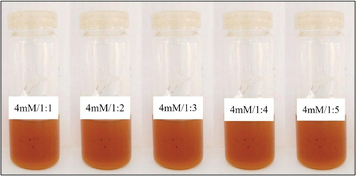 Plate 11. Reaction mixtures with 4mM reagent concentrations and five different extract volumes after placing them for incubation at 60°C for 4h.