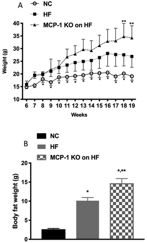 Figure 1. Body weight and body fat composition.