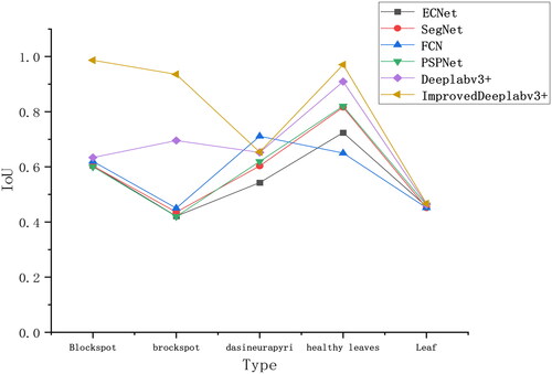 Figure 8. Comparison of Iou of five labels under different models.