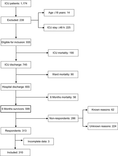 Figure 1 Patient inclusion chart.